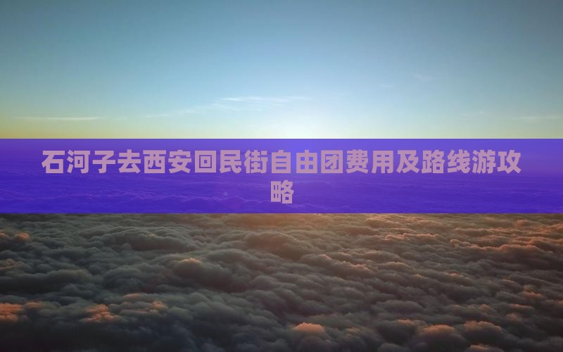 石河子去西安回民街自由团