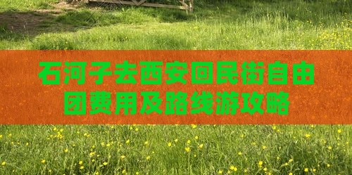 石河子去西安回民街自由团