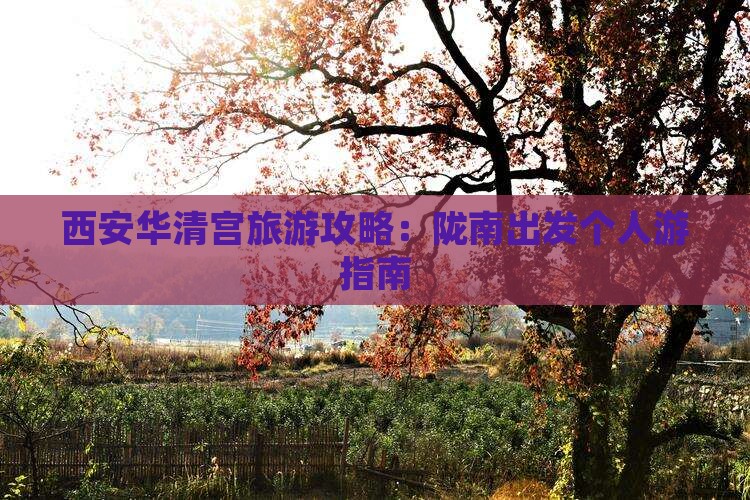陇南去西安华清宫个人游