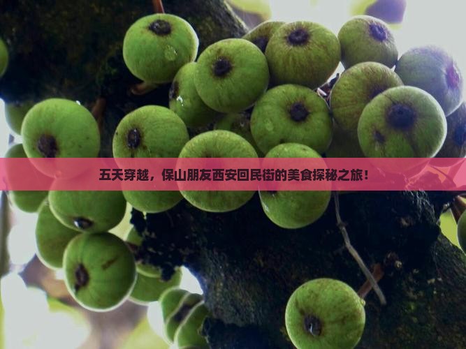 保山去西安回民街五日游