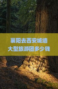 襄阳去西安城墙大型旅游团