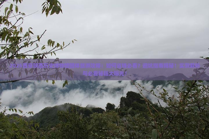 八月到西安陕西历史博物馆团体旅游