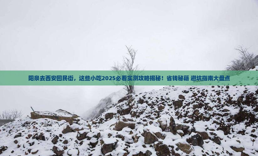 阳泉到西安回民街旅游小吃