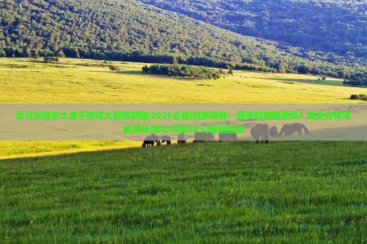 武汉去西安大唐不夜城大型旅游团