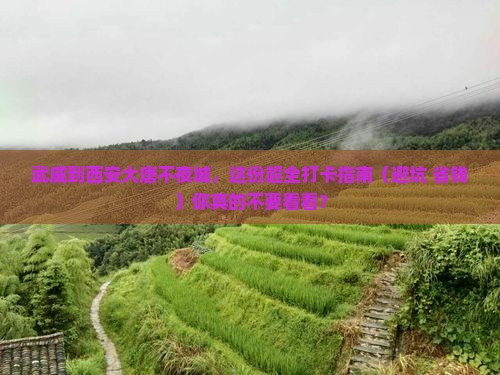 武威到西安大唐不夜城必去地