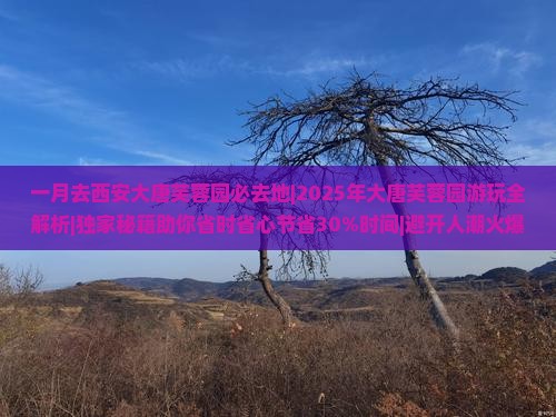 一月去西安大唐芙蓉园必去地