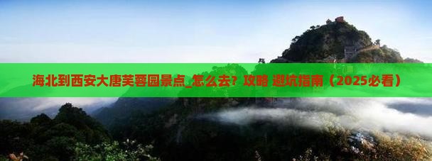 海北到西安大唐芙蓉园景点