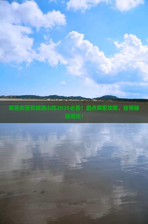 莱芜去西安城墙旅游小吃