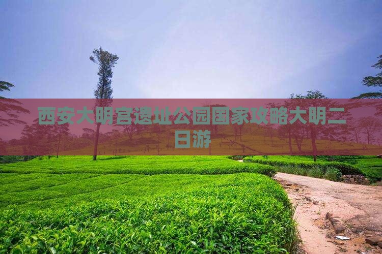 长沙到西安大明宫国家遗址公园二日游