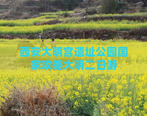 长沙到西安大明宫国家遗址公园二日游