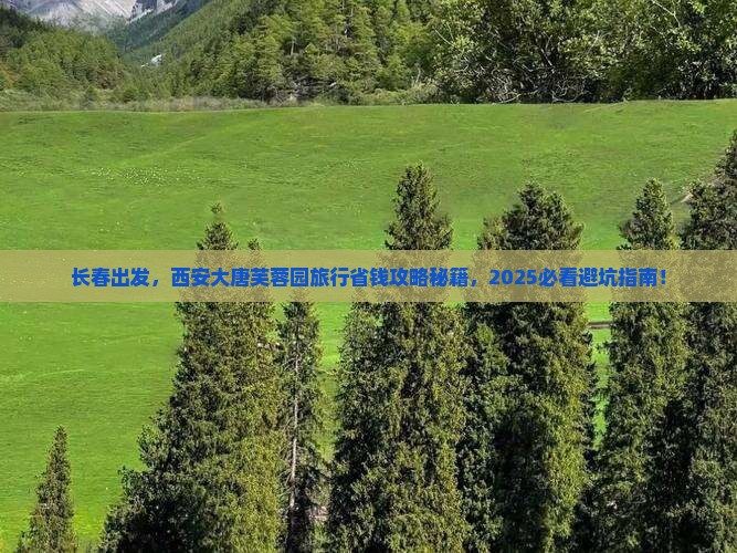 长春到西安大唐芙蓉园旅行社