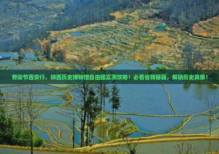 劳动节去西安陕西历史博物馆自由团