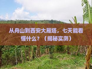 舟山到西安大雁塔七日游
