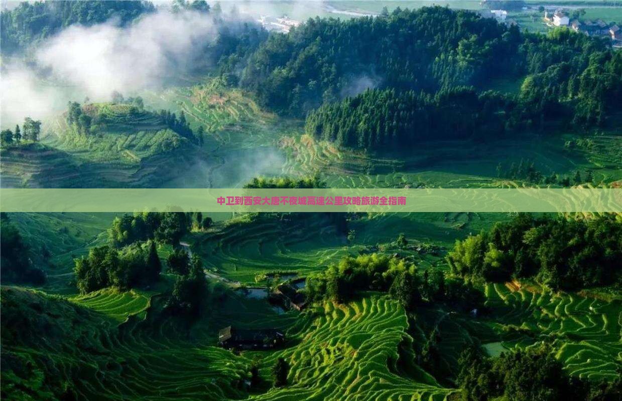 中卫到西安大唐不夜城必去地