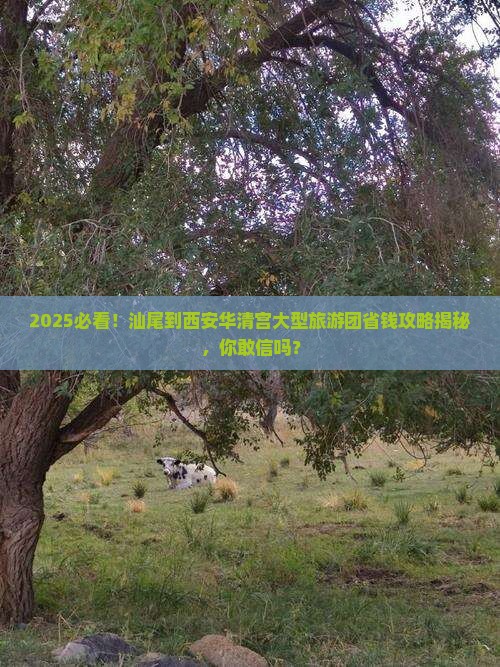 汕尾到西安华清宫大型旅游团