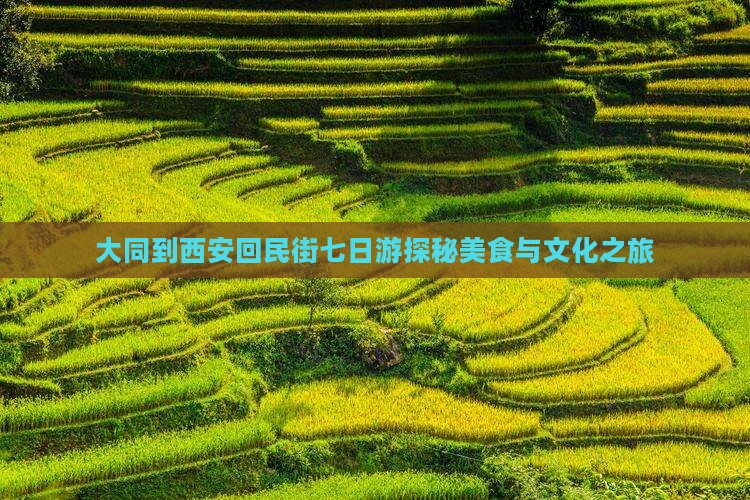 大同到西安回民街七日游