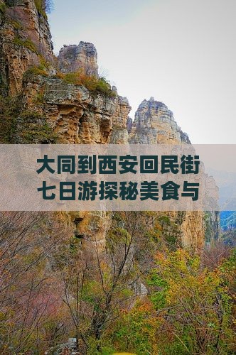 大同到西安回民街七日游