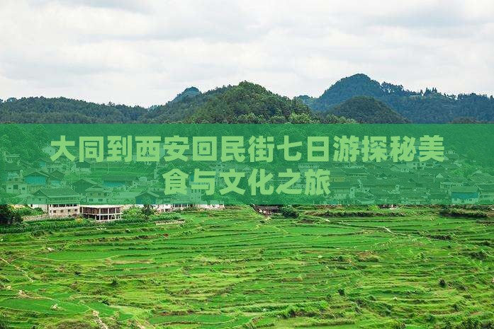 大同到西安回民街七日游