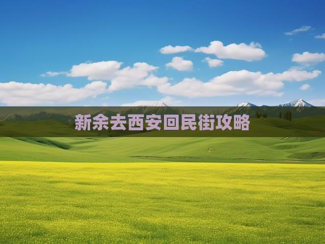 新余去西安回民街门票