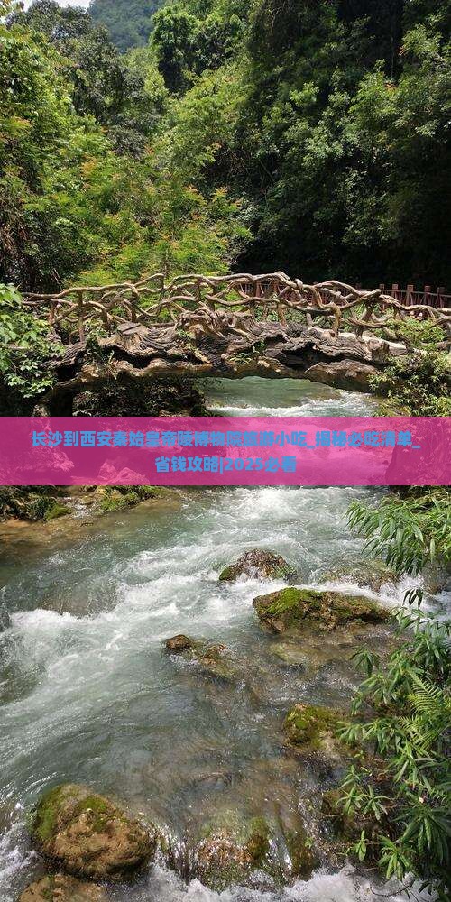 长沙到西安秦始皇帝陵博物院旅游小吃