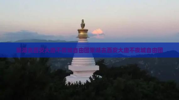 巢湖去西安大唐不夜城自由团