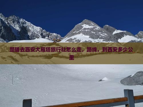 楚雄去西安大雁塔旅行社