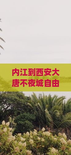 内江到西安大唐不夜城自由行