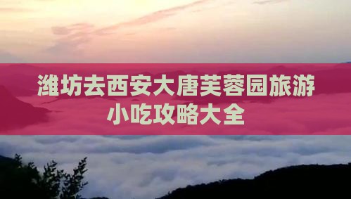 潍坊去西安大唐芙蓉园旅游小吃
