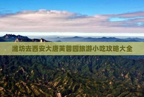 潍坊去西安大唐芙蓉园旅游小吃