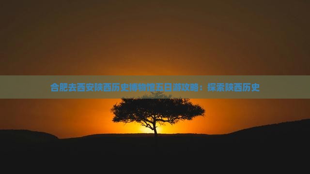 合肥去西安陕西历史博物馆五日游