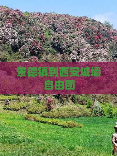 景德镇到西安城墙自由团