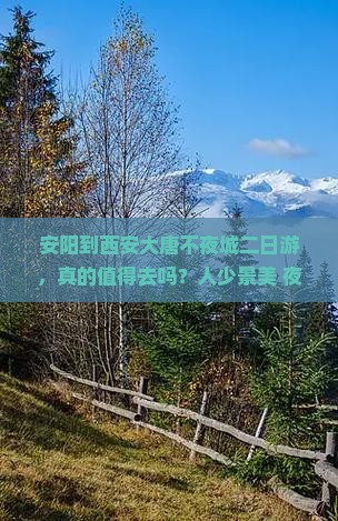安阳到西安大唐不夜城二日游