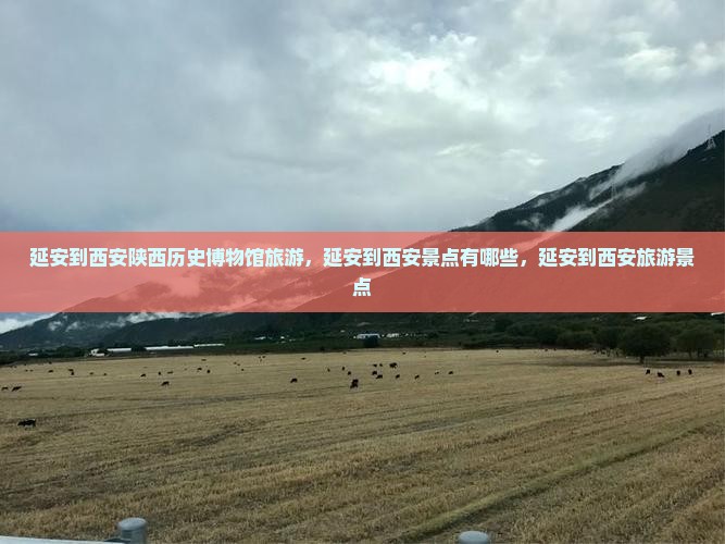 延安到西安陕西历史博物馆旅游