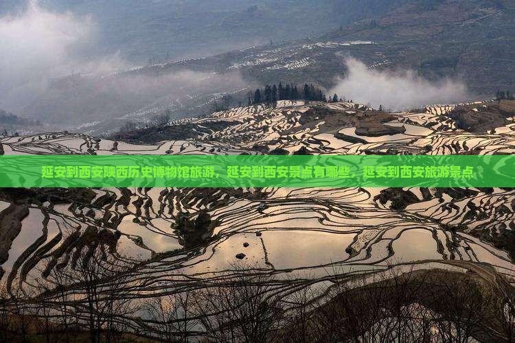 延安到西安陕西历史博物馆旅游