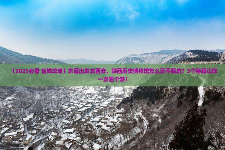 东营去西安陕西历史博物馆旅游