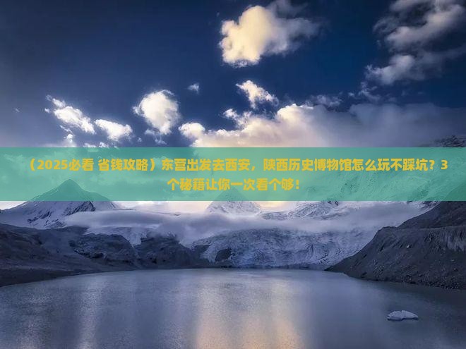 东营去西安陕西历史博物馆旅游
