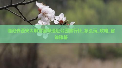 临沧去西安大明宫国家遗址公园旅行社