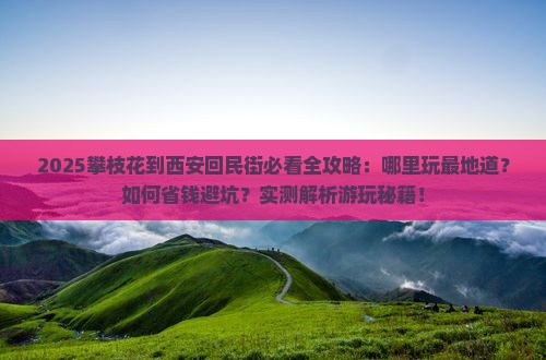 攀枝花到西安回民街哪里玩
