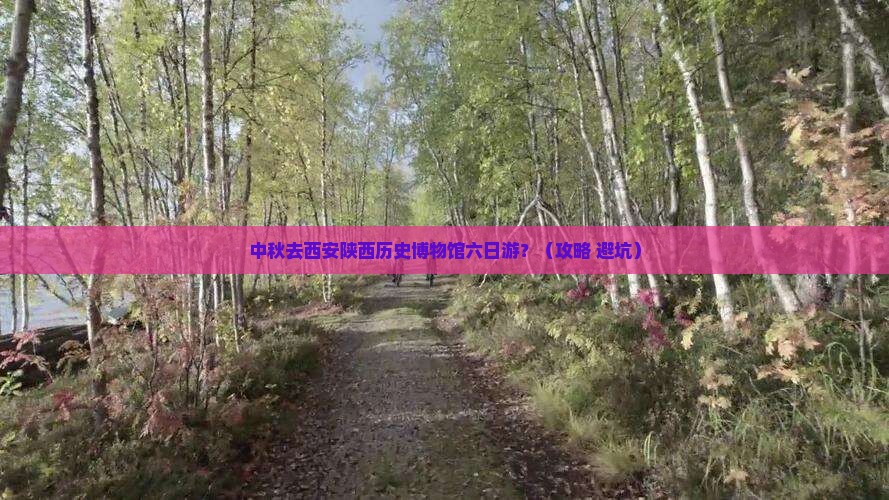 中秋节去西安陕西历史博物馆六日游 中秋节去西安陕西历史博物馆六日游
