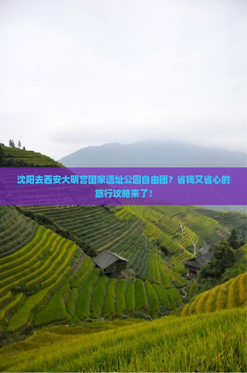 沈阳去西安大明宫国家遗址公园自由团