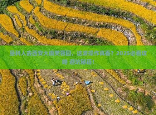 垦利去西安大唐芙蓉园旅游