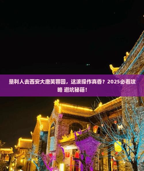 垦利去西安大唐芙蓉园旅游