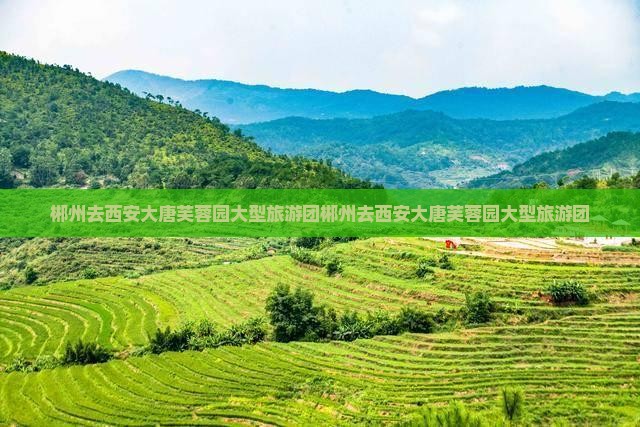 郴州去西安大唐芙蓉园大型旅游团