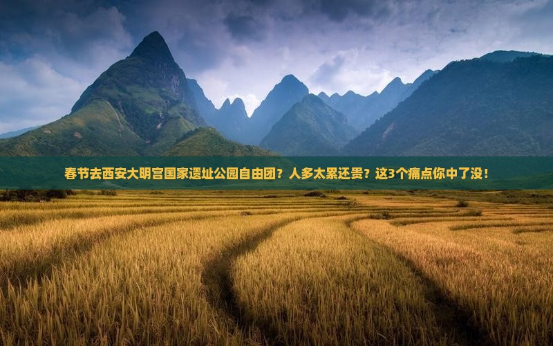 春节去西安大明宫国家遗址公园自由团