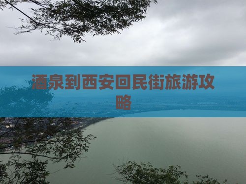 酒泉去西安回民街个人游