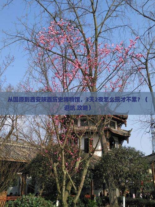固原到西安陕西历史博物馆团体旅游
