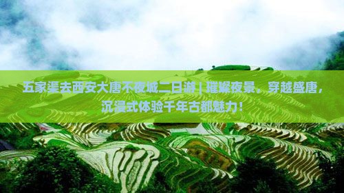 五家渠去西安大唐不夜城二日游