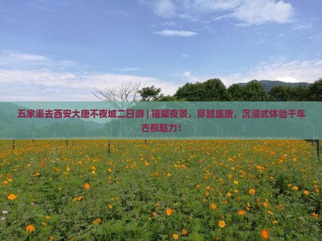 五家渠去西安大唐不夜城二日游