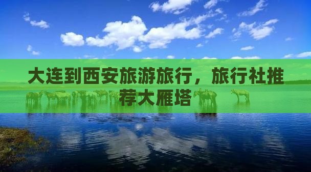 大连到西安大雁塔旅行社