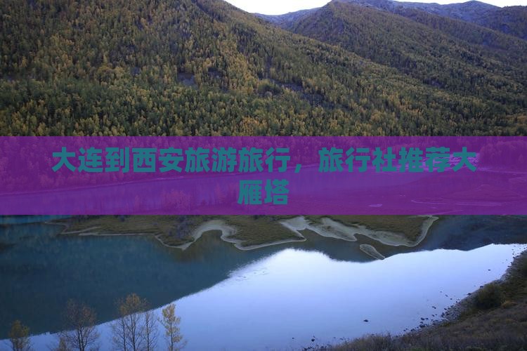 大连到西安大雁塔旅行社